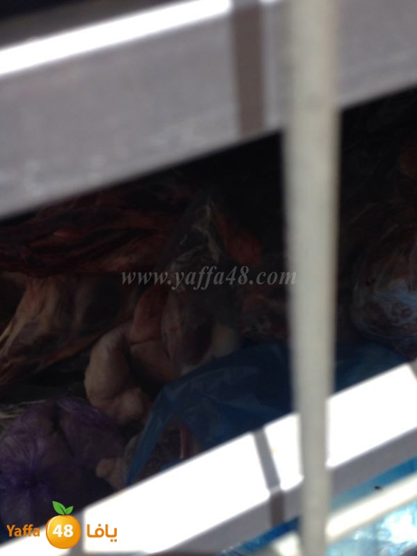 lo7oom lud 0527 (5).JPG